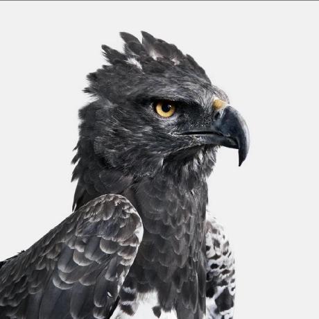 Christian Leclerc Christian Leclerc Github - Premium Vintage Texture Gallery - Retina