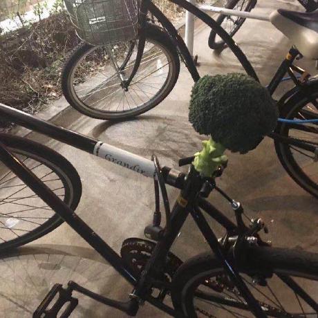 Ctra Wang Wangdada Github - Ultra HD Retina Ocean Illustrations | Free Download