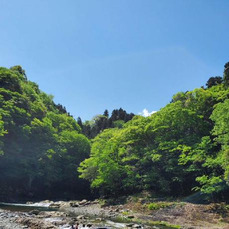 Github Kanade Nya Installmamba - Best Gradient Designs in 8K