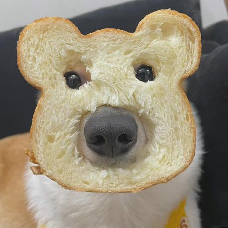 Css Chen666 Css Chen Github