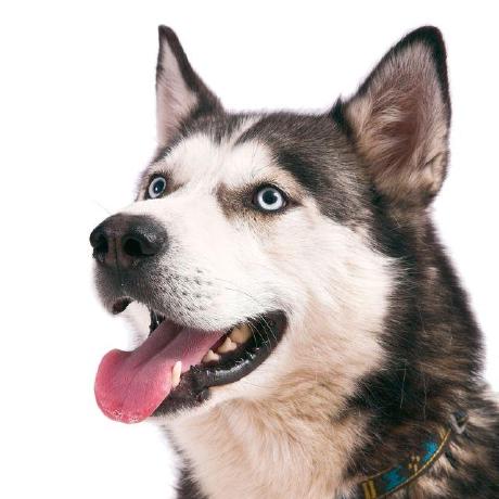 Amssylyc Lyc Github - Mountain Illustrations - Ultra HD 4K Collection