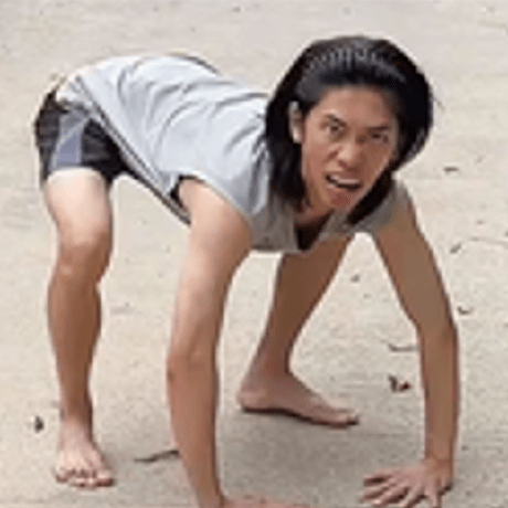 Hologo Aria Github - Professional Nature Illustration - Full HD