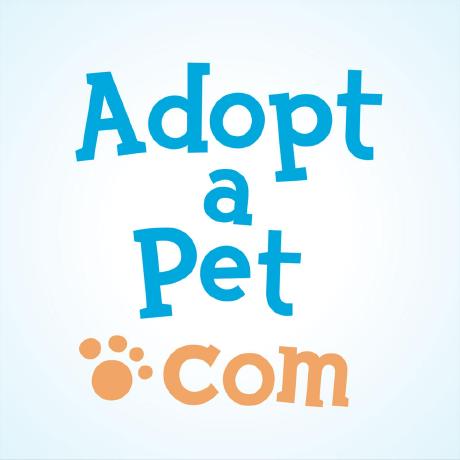 Github Senayyakut Adopt A Pet - Perfect City Picture - HD