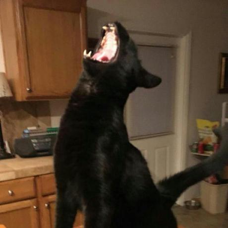 Mhdicam Mohammad Hisyam Github - Amazing Mobile Sunset Patterns | Free Download