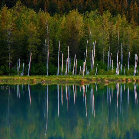 Github Iamdaiyuan Git Pronunciation Git - Best Minimal Textures in Desktop