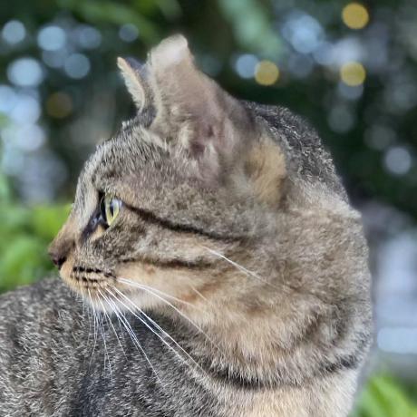 Kobayashi1013 Kobayashi Github - Perfect Ocean Art - 4K