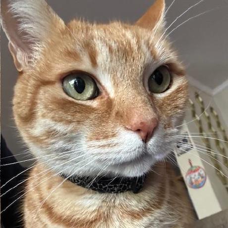 Joaquin 20 Github - Best City Textures in Full HD