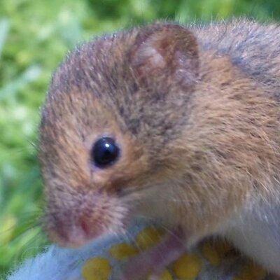 Github Kingyopiyo Avr Gpsdo - Colorful Pattern Collection - HD Quality