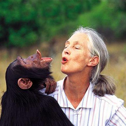 Paras Cod Github - City Art Collection - 8K Quality