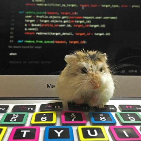 Evitaknits Evita Orrock Github - Professional Full HD Sunset Images | Free Download