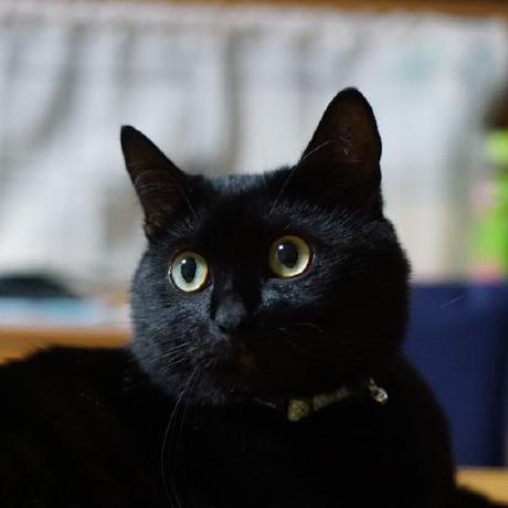 Kiyota Shou Github - 8K Sunset Illustrations for Desktop