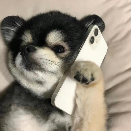 Miloce - Landscape Art Collection - HD Quality