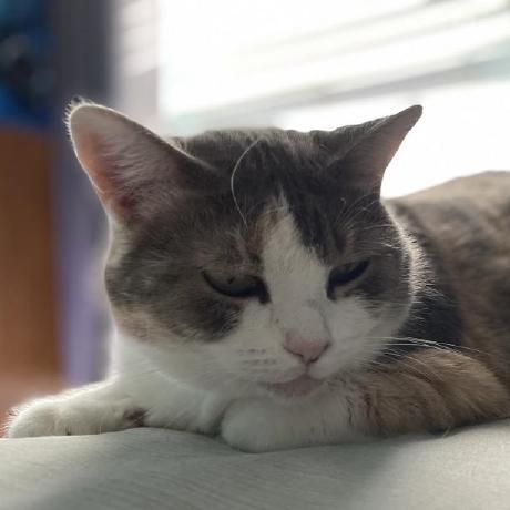 Chewdonovan Donovan Chew Github - Gorgeous Space Texture - Full HD