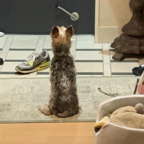 Taichi Uehara Github - Space Photos - Perfect Ultra HD Collection