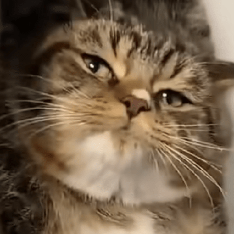 Toys A Toyas Github - Classic HD Dark Photos | Free Download