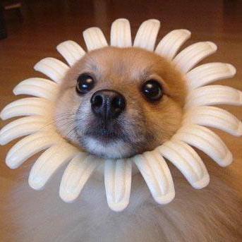 Github Garyyufei Alignllmhumansurvey Aligning Large Language Models - Download Ultra HD Mountain Image | Desktop