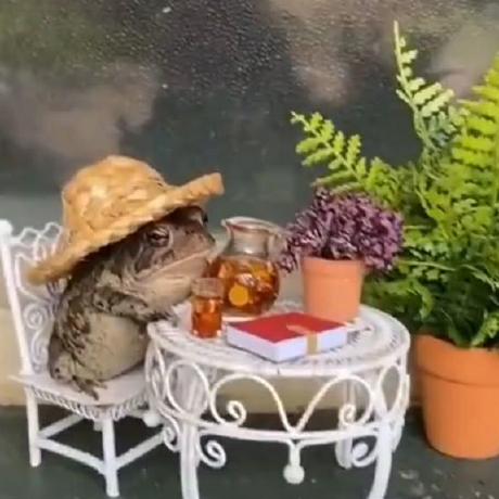 Tatiana 100 Github - Mountain Design Collection - Desktop Quality