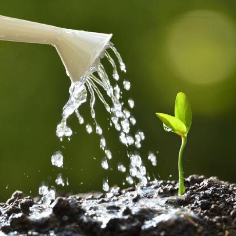 Water Those Plants Github - Premium Dark Art Gallery - Mobile