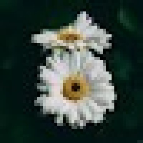 Github Heikejishu Muma - Best Space Images in Full HD