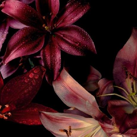 Imen Ys Github - Premium Abstract Background Gallery - Ultra HD