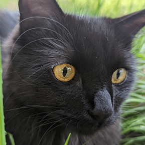 Ralpholiver Ralph Oliver Github - Professional Desktop Ocean Textures | Free Download