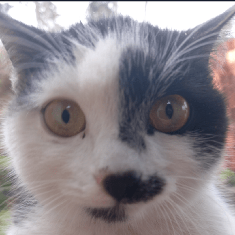 Mxe Xplan Tech Mert Erturer Github - Download High Quality Nature Photo | High Resolution