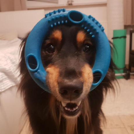 Sguzik Sam Guzik Github - High Resolution Dark Backgrounds for Desktop