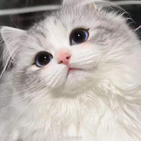 Kszpxxzmc Mengchen Zhang Github