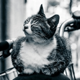 Update Error Issue 344 Anoyetta Act Hojoring Github - Gradient Backgrounds - Stunning Mobile Collection