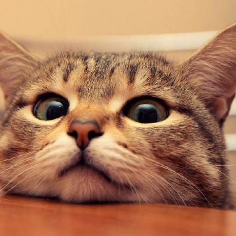 Toshimitsu M Toshimitsu M Github - Download Stunning Mountain Wallpaper | Mobile