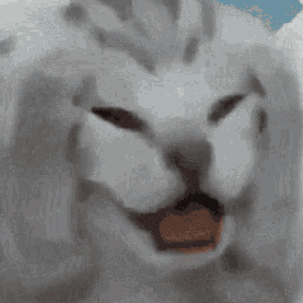 Woltervandonk Wolter Van Donk Github - Premium City Art Gallery - 4K