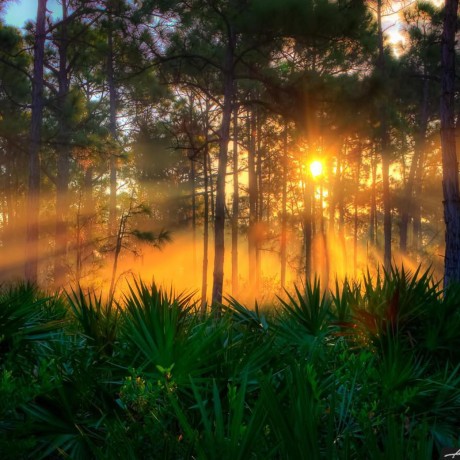 Htg 18 Harsh Shah Github - Landscape Designs - Perfect 8K Collection