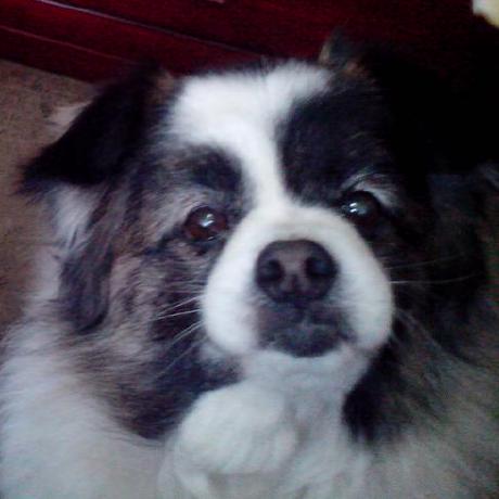 Github Zhouxiaotan Libjxl - Full HD Vintage Images for Desktop