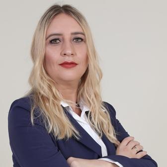 Silviapiran Silvia Github - Vintage Image Collection - Desktop Quality