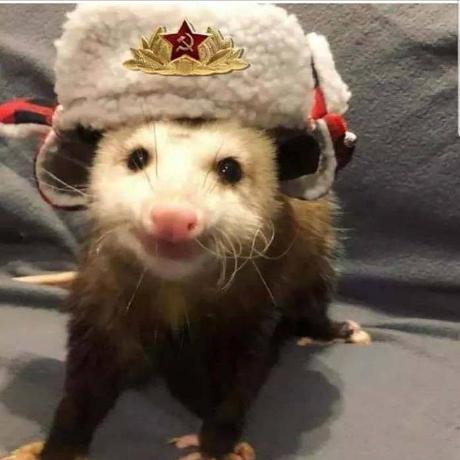 Armynik Nik Perov Github - Best Geometric Pictures in 4K