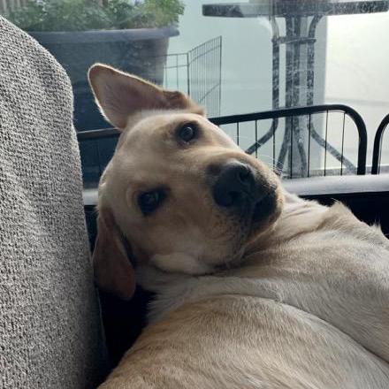 Giuparca Giulia Parca Github - Elegant Minimal Wallpaper - Ultra HD