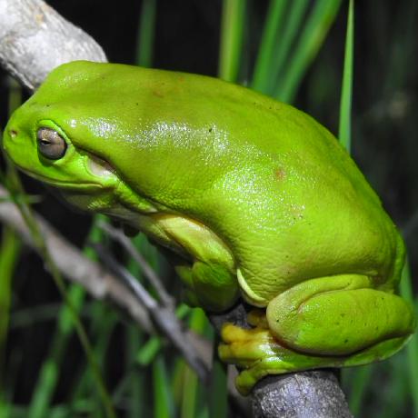 Ataylor284 Andrew Taylor Github - Elegant Space Picture - HD