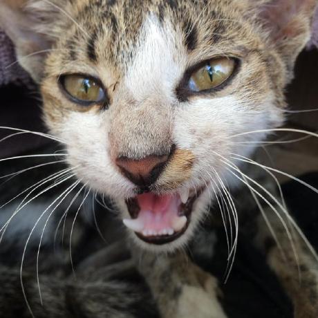 Sukhman Singh 1612 Sukhman Singh Github - Space Pictures - Beautiful HD Collection