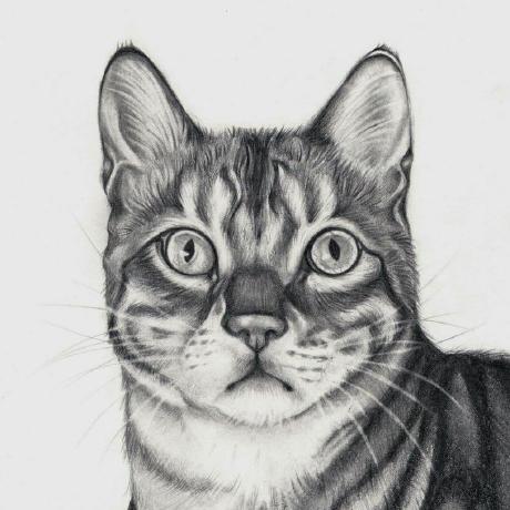 Github Sudo Datluu Misabook - Minimal Backgrounds - Perfect HD Collection