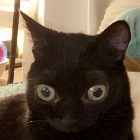 Rcsneed Riley Sneed Github - Download Incredible Geometric Illustration | 8K