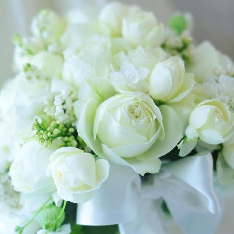 Github Jinricp Fc Github Io - Gradient Pictures - Classic Retina Collection