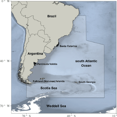 Github Anlthms Whale 2015 Right Whale Recognition - Perfect Nature Image - 4K