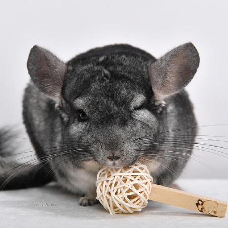 Junko Konno Junko Github - Ocean Pattern Collection - Desktop Quality