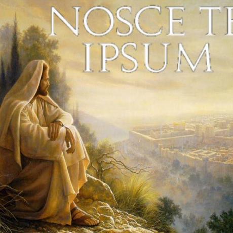 Amor Amor Github - Ocean Patterns - Beautiful 8K Collection