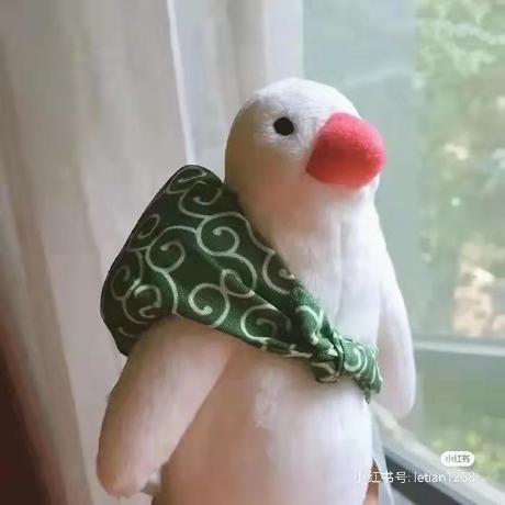 Github Qiaoshurui Qiaoshurui - Amazing 4K Landscape Images | Free Download