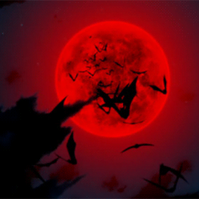 Ansarialireza Alireza Github - Nature Picture Collection - Full HD Quality