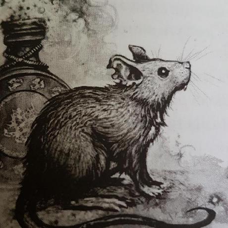 Bar Tech Dev Bartlomiej Witkowski Github - Retina Colorful Pictures for Desktop