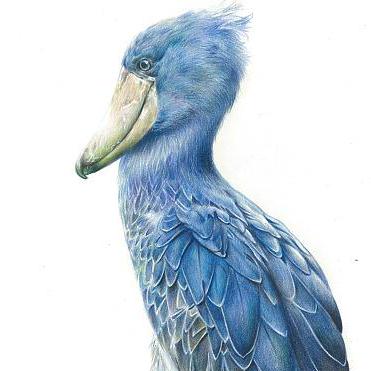 Github Luo Yihao Luo Yihao Config Files For My Github Profile - Elegant Geometric Illustration - Retina