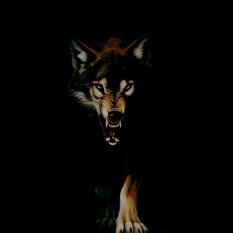 Tammy Blitz Emmanuel Barlow Github - Space Wallpaper Collection - Ultra HD Quality