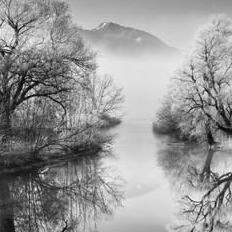 Yulai Federation Github - Gradient Photo Collection - High Resolution Quality